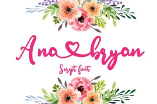 Ana Bryan: A Designer’s Honest Review