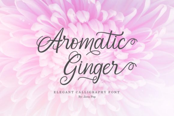 Aromatic Ginger Font for Modern Web Design