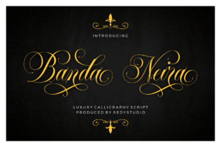 Banda Neira: A Playful Script Font for Branding