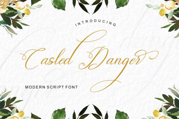 Casled Danger Font: A Web Designer’s Review