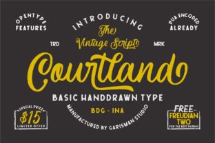 Courtland Typeface: A Bold Vintage Font for Editorial Design