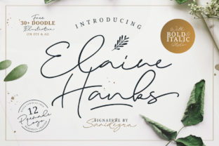 Elaine Hanks: A Handwritten Font for Digital Design