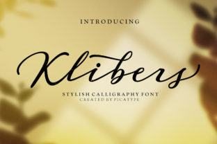 Klibers Review: A Designer’s Take on Script Amp’s Latest
